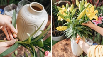 Thêm thứ này vào nước cắm hoa, hoa để cả tuần vẫn tươi rói, bất chấp trời nắng nóng