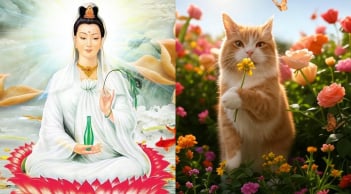 Hoa Rơi Cửa Phật: 3 tuổi Quan Thế Âm Độ Mạng, tháng 7 Trúng Số, tháng 8 Tiền Về Như Nước