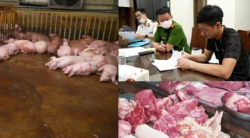 Phát hiện đường dây chuyên mổ cung cấp thịt lợn bệnh cho chợ, nhà hàng, quán ăn