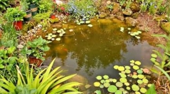 4 lỗi đại kỵ trước nhà khiến gia chủ dễ bệnh tật, hao tài tán lộc mà nhiều người vô tình mắc phải