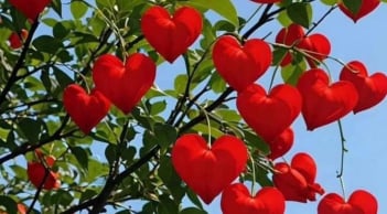  Bố mẹ chồng tốt 10 phần không bằng chồng tốt 5 phần