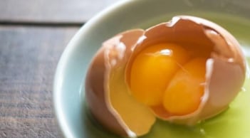 Gà đẻ trứng hai lòng đỏ là điềm gì? Có phải do hormone? Liệu có nở ra 2 gà con?