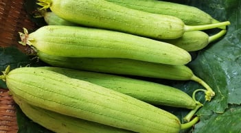 Mướp hương – loại quả mùa hè giàu canxi nhưng ít ai ngờ tới