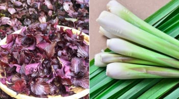Nấu nước lá tía tô thêm vài nhánh sả, cơ thể nhận được 7 lợi ích tuyệt vời này