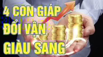 Tháng 6 Nhuận thuận nước đẩy thuyền: 4 tuổi Tiền - Tình mỹ mãn
