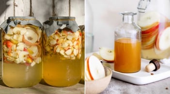 Bí quyết tự làm giấm táo tại nhà, vừa ngon rẻ, vừa an toàn