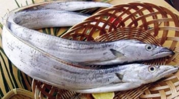 Gặp 5 loại cá này ngoài chợ đừng bỏ lỡ: Ngon, bổ, sạch, bắt tự nhiên 100%