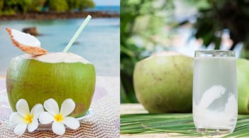 Uống nước dừa mùa nắng nóng: Uống nhiều có tốt không?