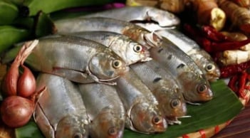 7 loại cá phải mua ngay nếu bắt gặp ở chợ: Dinh dưỡng ngang nhân sâm, rẻ hơn tổ yến, không chứa hóa chất