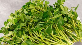 Loại rau rẻ ở chợ Việt được Mỹ công nhận 'nữ hoàng rau xanh', giàu canxi hơn sữa, trồng 1 lần ăn quanh năm