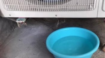 Nước nhỏ giọt từ điều hòa tưởng bỏ đi, ai ngờ có công dụng bất ngờ khiến nhiều người tiếc nuối!