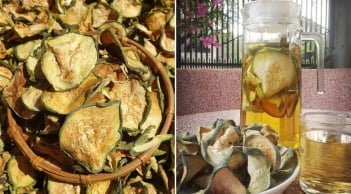 Lấy bí đao phơi khô rồi đun nước uống, có 5 công dụng tuyệt vời, tốt cho cả nam và nữ
