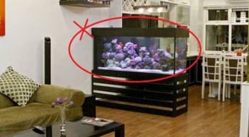 5 vật cấm kỵ tuyệt đối không đặt dưới chân bàn thờ: Phạm phải gia đạo lục đục, tài lộc tiêu tan