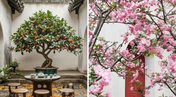Cổ nhân nói không sai: Nhà trồng 3 loại cây, 10 người thì 9 sẽ giàu sang phú quý, nhà nào cũng nên trồng