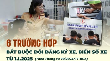 Kể từ năm nay, 6 trường hợp bắt buộc phải đổi đăng ký xe và biển số: Người dân cần nắm rõ