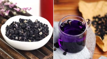 Uống trà hắc kỷ tử (kỷ tử đen) mỗi ngày có tác dụng gì?