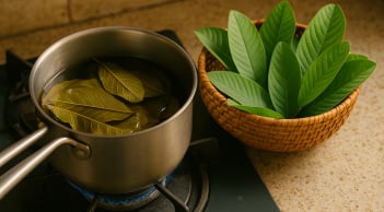 Cách uống nước lá ổi để giảm cân, giảm mỡ bụng: Bí quyết giản dị nhưng hiệu quả của nhiều phụ nữ Việt