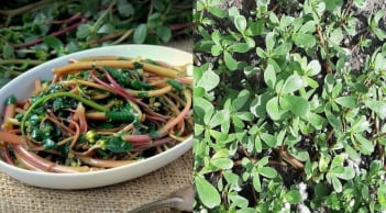 Loại rau mọc dại cho không ai lấy, giờ được săn lùng quý như 'thần dược' của sức khỏe