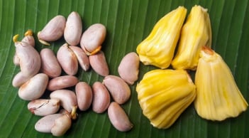 Hạt mít giàu dinh dưỡng: Ăn hạt mít, cơ thể nhận được 3 lợi ích tuyệt vời