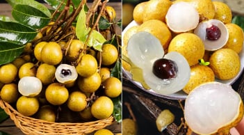 Quả nhãn ngon bổ nhưng có 5 nhóm người cần hạn chế anh, tránh rước thêm bệnh