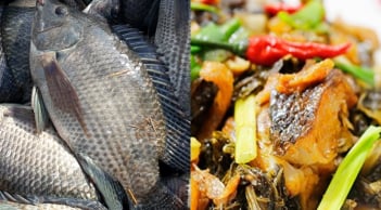 Loại cá vượt mặt cá hồi về protein và giá trị dinh dưỡng: Giá rất rẻ, chợ Việt nào cũng bán