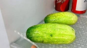 Túi bóng chống sốc đừng vội vứt đi: 4 công dụng quan trọng khiến bạn quý nó như vàng