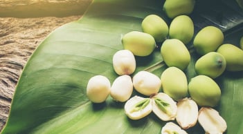 4 loại đồ ăn thức uống có vị đắng này, ăn vào mùa nắng nóng còn tốt hơn uống thuốc bổ