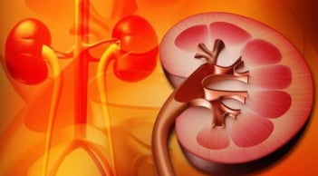 5 biểu hiện buổi tối cảnh báo Thận đang kêu cứu, đừng bỏ qua để phải chạy thận cả đời