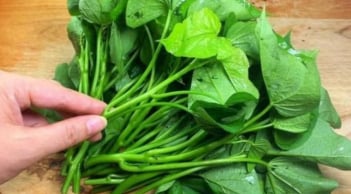 Loại “rau từng cho lợn ăn” biến thành siêu thực phẩm, Mỹ thu mua 1 triệu/kg