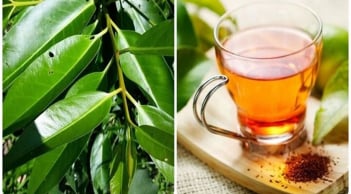 Nước vối cực tốt nhưng lại 'đại kỵ' 1 thứ, uống vào chỉ càng thêm bệnh