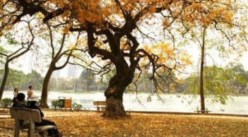 Vì sao Mùa thu lá vàng thì người hay buồn? Người xưa dặn Dưỡng Sinh Mùa Thu cần những điều này để Vui khỏe