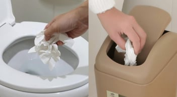 Giấy vệ sinh: Bỏ thùng rác hay xả bồn cầu – Chuyên gia chỉ ra thói quen nhiều người đang làm sai