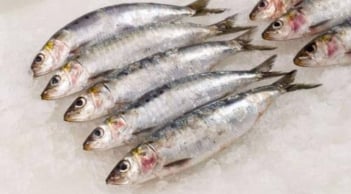 Loại cá tốt nhất thế giới, ở Việt Nam bán rẻ bất ngờ chỉ vài chục nghìn/kg