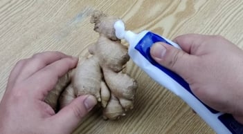 Cho kem đánh răng lên gừng: Công dụng thần kỳ giải quyết tất tần tật' vết bẩn trong nhà