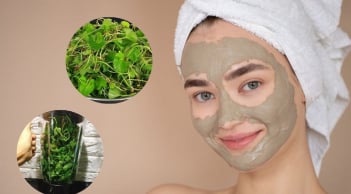 Loại rau dân dã, giá “hạt dẻ” nhưng là “mỹ phẩm tự nhiên”, nuôi dưỡng làn da mịn màng