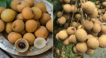 Mẹo bảo quản nhãn, để cả tuần vẫn tươi ngon, mọng nước như vừa hái