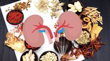 Thuốc bổ thận không phải cứ dùng là tốt, cẩn thận hại còn hơn lợi