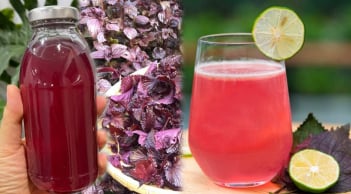 Uống nước tía tô chanh, cơ thể nhận được lợi ích tuyệt vời này