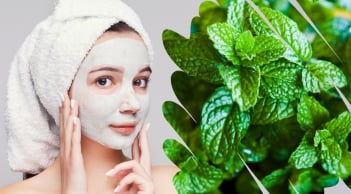 Bạc hà – loại thảo mộc quen thuộc là 'thần dược' với làn da