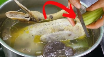 Cắt nhỏ quả này rồi thả vào nồi: Luộc vịt hết hôi, thịt mềm ngọt gấp 5 lần