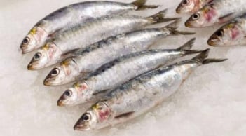 Loại cá Việt Nam giá chỉ vài chục nghìn/kg nhưng được chuyên gia Mỹ công nhận là “tốt nhất thế giới”
