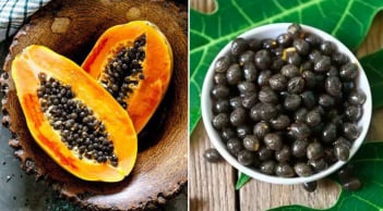 Hạt đu đủ là dược liệu quý, có 7 lợi ích tuyệt vời