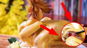 Luộc gà da nứt - đỏ xương chỉ vì 1 lỗi này: Đầu bếp mách cách luộc chín vàng ngọt thịt