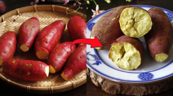 Mẹo luộc khoai 5 phút là chín bở, ngọt lịm, không cần dùng nước