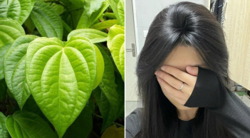 Cách gội đầu bằng nước lá trầu không giúp giảm rụng tóc, tóc con mọc lên không ngừng