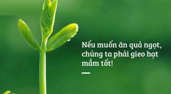 Nhân quả ở đời vốn rất chính xác và rõ ràng, gieo nhân nào thì gặt quả ấy