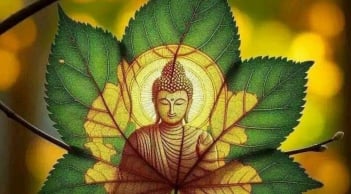 5 biểu hiện cho thấy một người có cuộc sống tốt lành, Phúc đức, càng già càng giàu có hạnh phúc