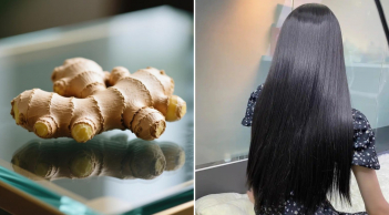 Gội đầu bằng nước gừng nấu với loại lá này, tóc giảm rụng, tóc con mọc ngày càng nhiều