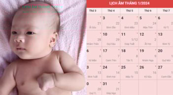 Trẻ sinh ra 4 tháng này âm lịch, thông minh từ nhỏ lớn lên tài ba, xuất chúng: Cha mẹ tha hồ hưởng phúc
