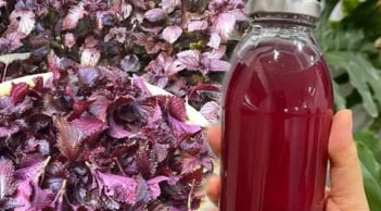 Loại rau là 'vua thải độc gan', hút sạch mỡ máu, chợ bán 5 nghìn/bó
